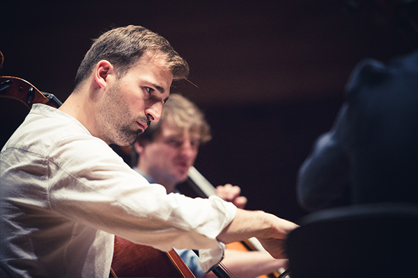 Polish Cello Quartet