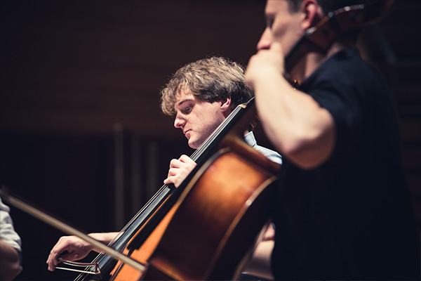 Polish Cello Quartet